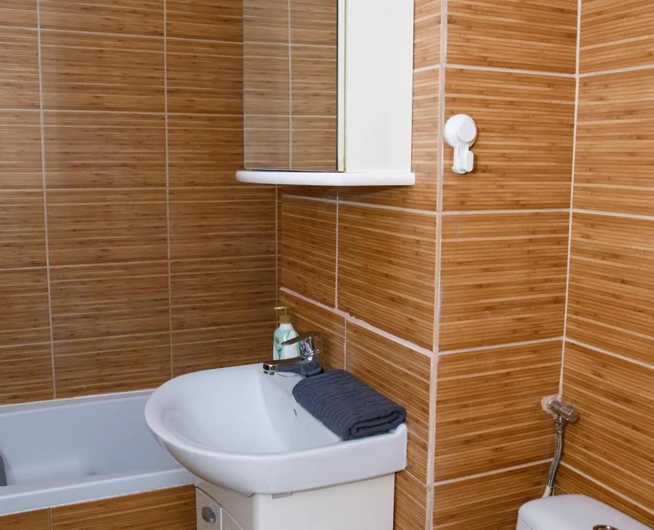 Color Apartments Corneliu Coposu No3 Bucharest
